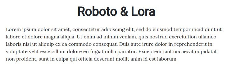 fonts-for-websites-real-estate-roboto-lora