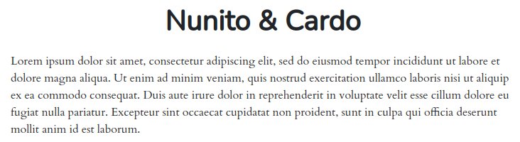 Fonts For Websites Jewelry Accessories Nunito Cardo