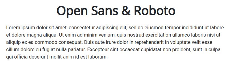 Fonts For Websites Travel Services Open Sans Roboto